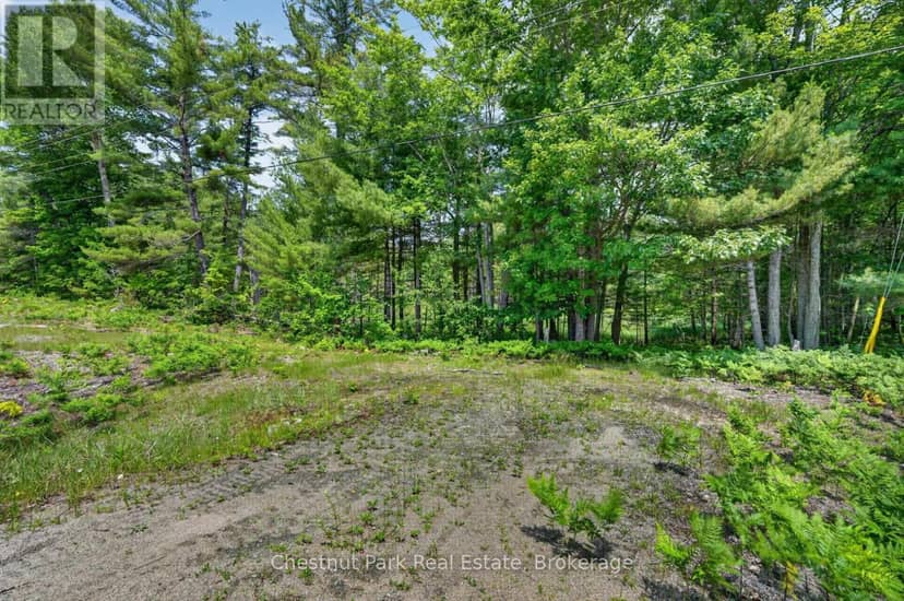 Pt Lt 33 Con 2 (Pt 2) Muskoka 118 Road W — photo 11 of 17