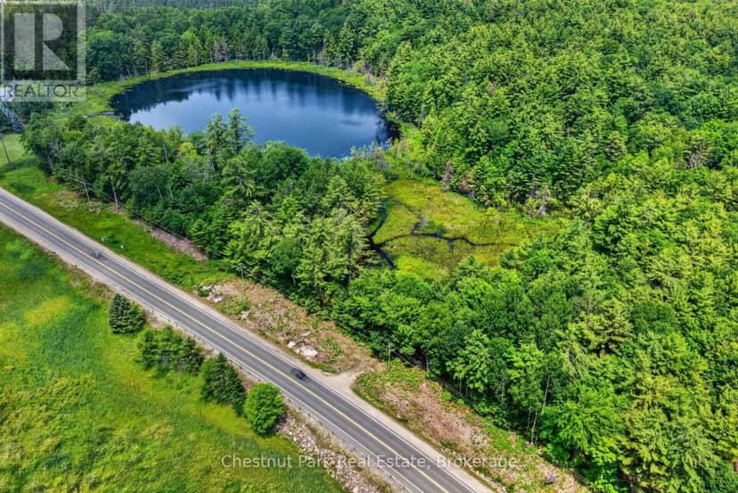 Pt Lt 33 Con 2 (Pt 2) Muskoka 118 Road W, Muskoka Lakes, photo 8