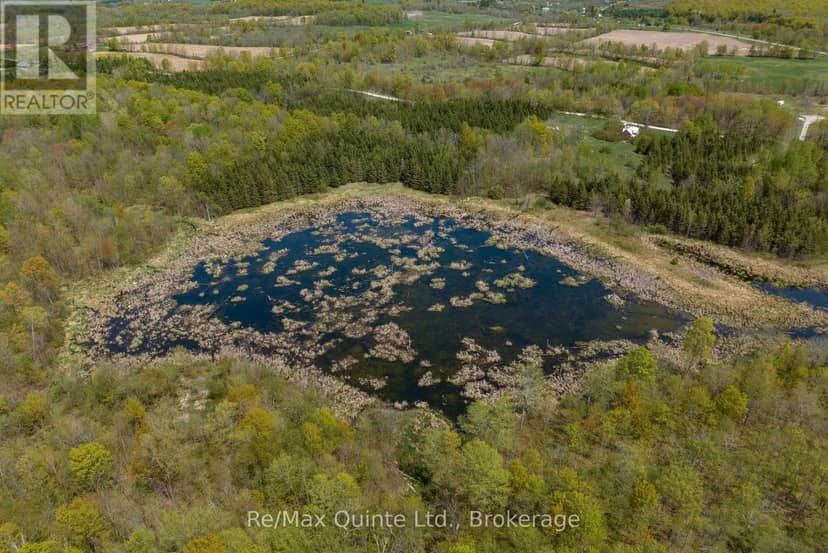 289 Woods Road, Madoc, photo 6