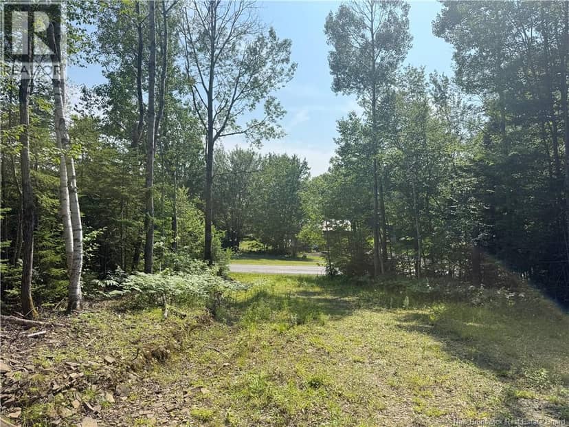 306 Bridge Street, Minto, photo 5
