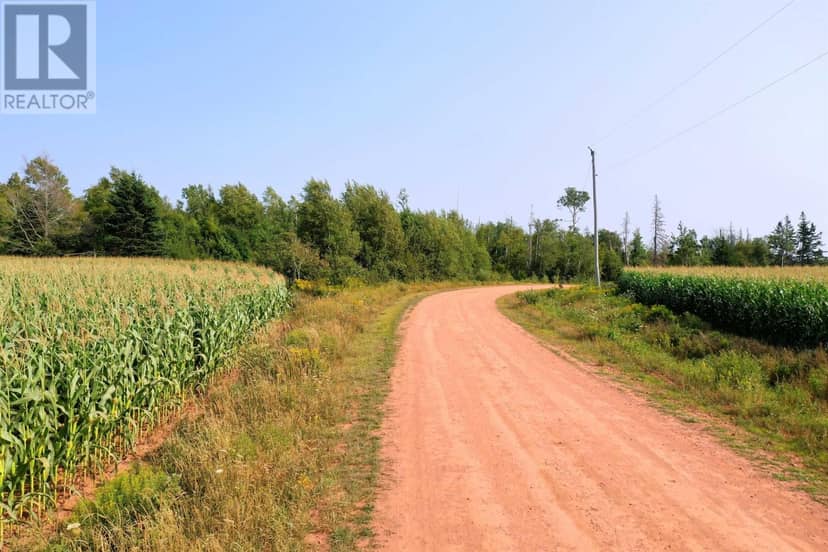 Lot 19 Okeefe Lane — photo 7 of 11