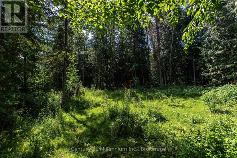612608 Sideroad 61 — photo 27 of 40