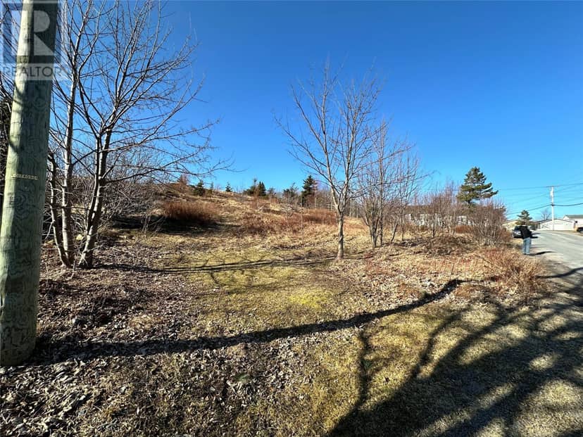 44-48 Back Road, Upper Island Cove, photo 7