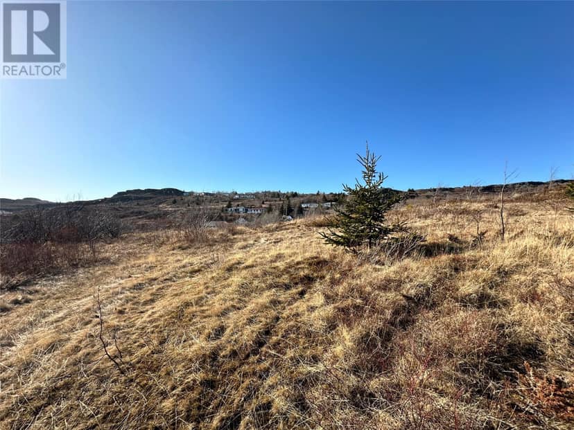 44-48 Back Road, Upper Island Cove, photo 8