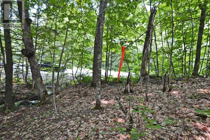 Part 2 - 0 Lyndsey Lane — photo 20 of 21