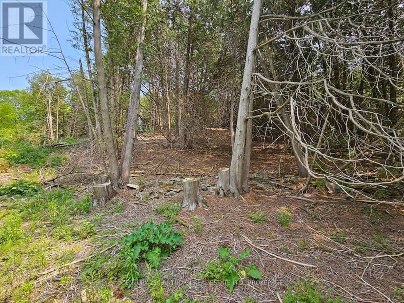 0000 Cedarstone Road W — photo 11 of 18