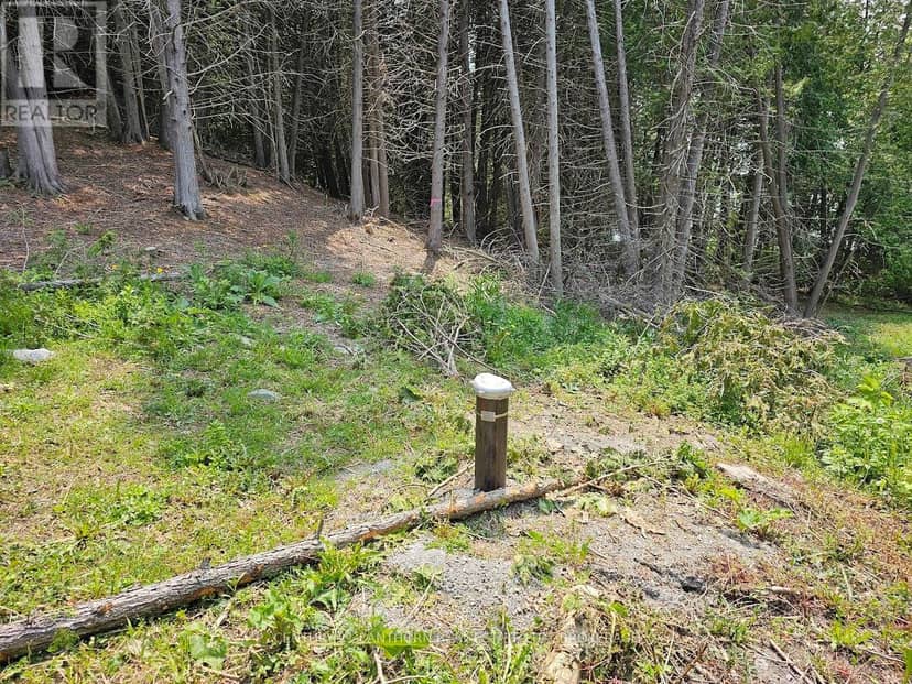 0000 Cedarstone Road W — photo 4 of 18