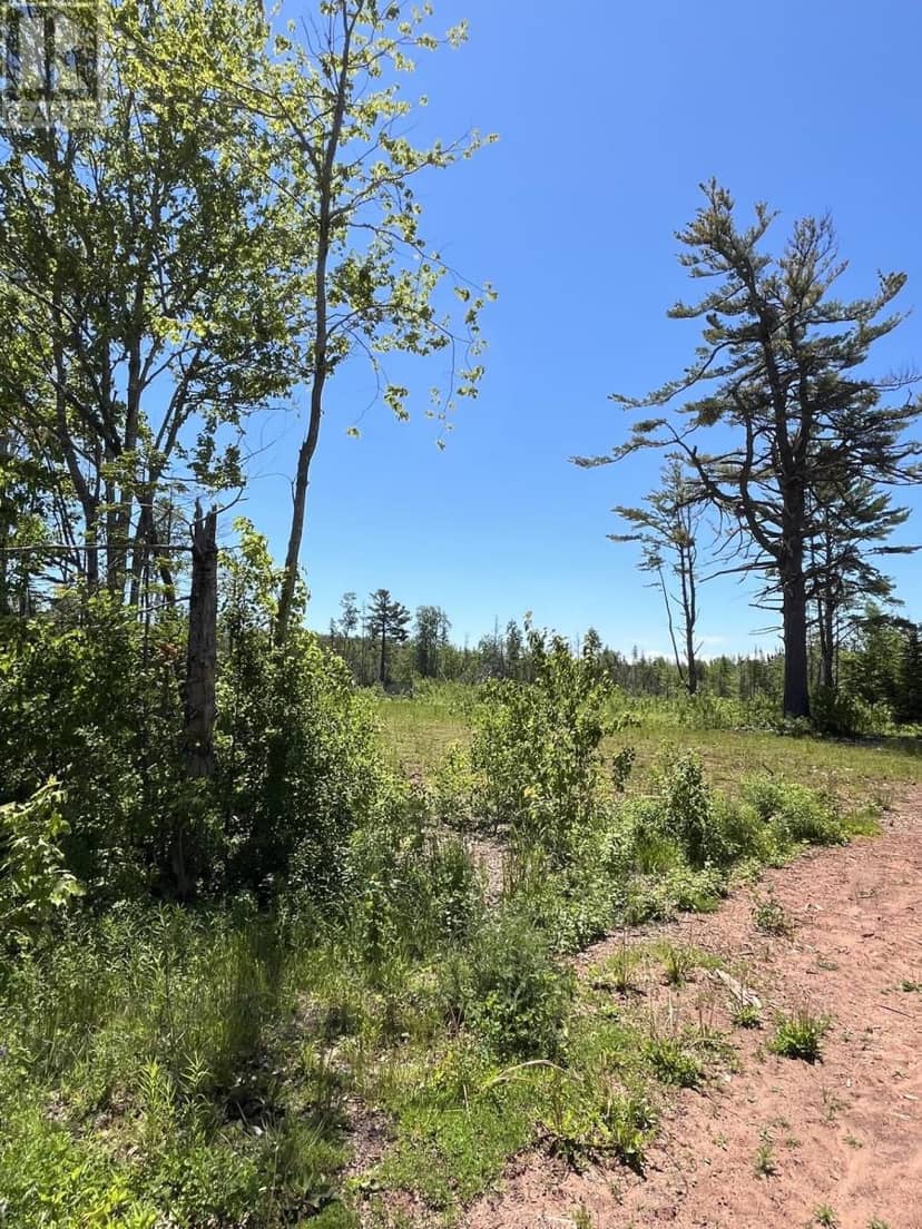 Lot 2026-2 Taranrum Road, Websters Corner, photo 4