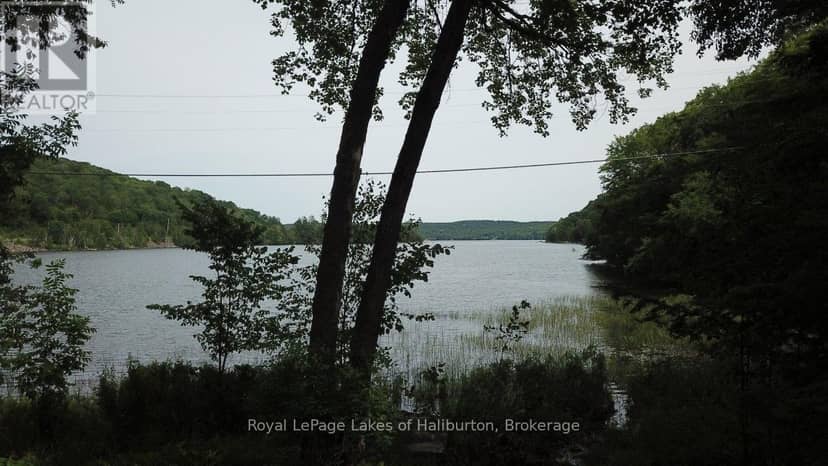 3040 Haliburton Lake Road — photo 32 of 40