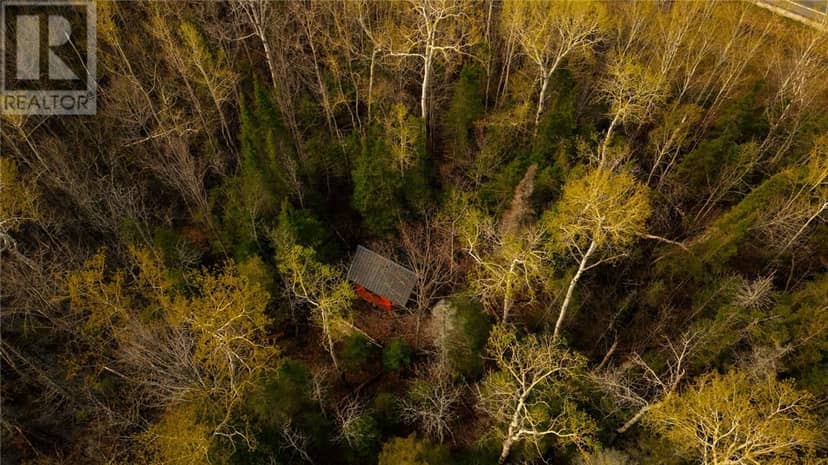 81 High Falls Road — photo 4 of 17