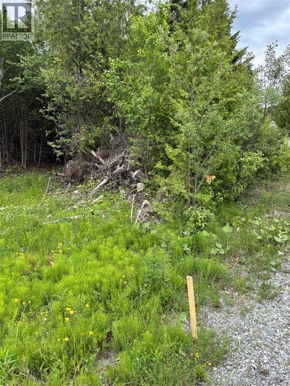 A-32 Deer Glen Drive, Saint John, photo 2