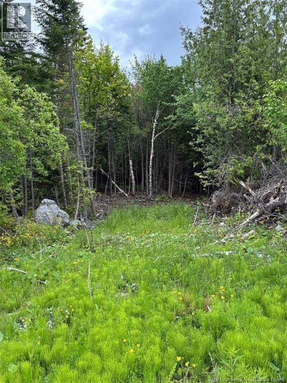 A-32 Deer Glen Drive, Saint John, photo 3