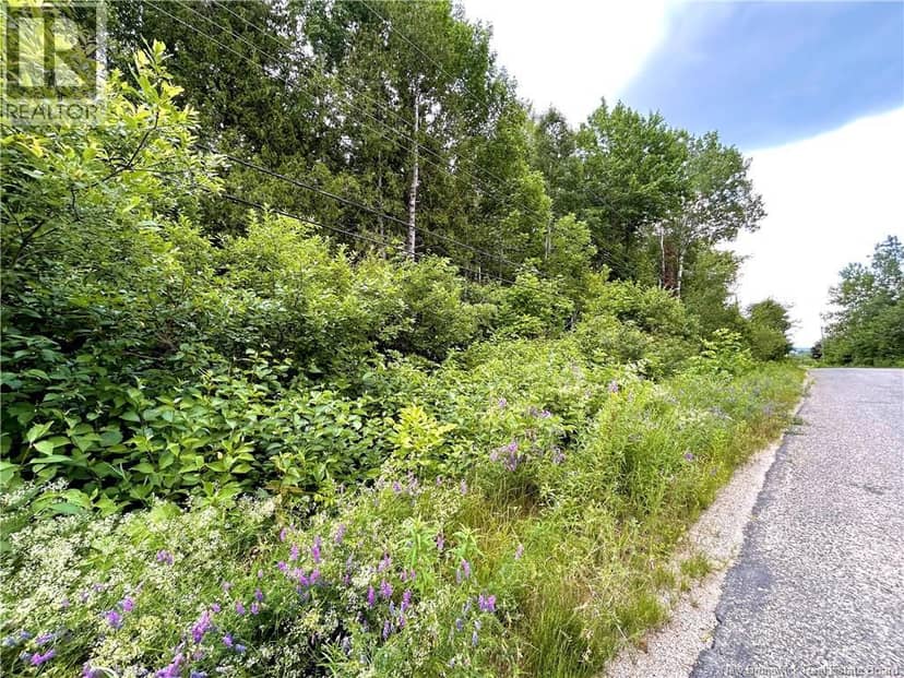2 Hectares Kanes Lane — photo 2 of 3