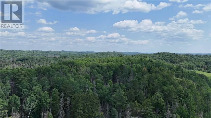 Pcl 10646 Birch Lake Rd — photo 3 of 9