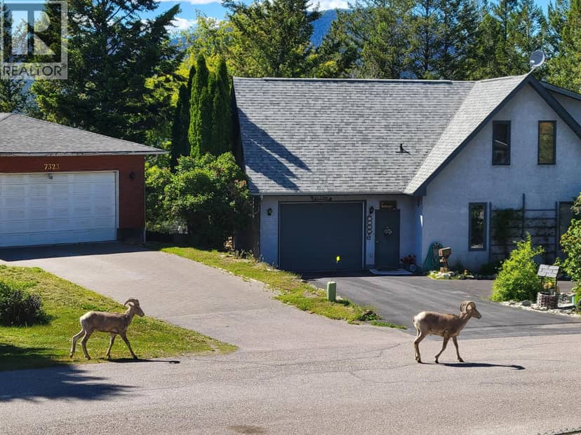 7326 GLACIER Drive, Radium Hot Springs, photo 8