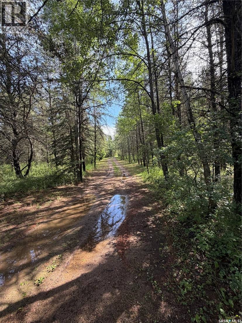 Neufeld acreage, Big River Rm No. 555, photo 6
