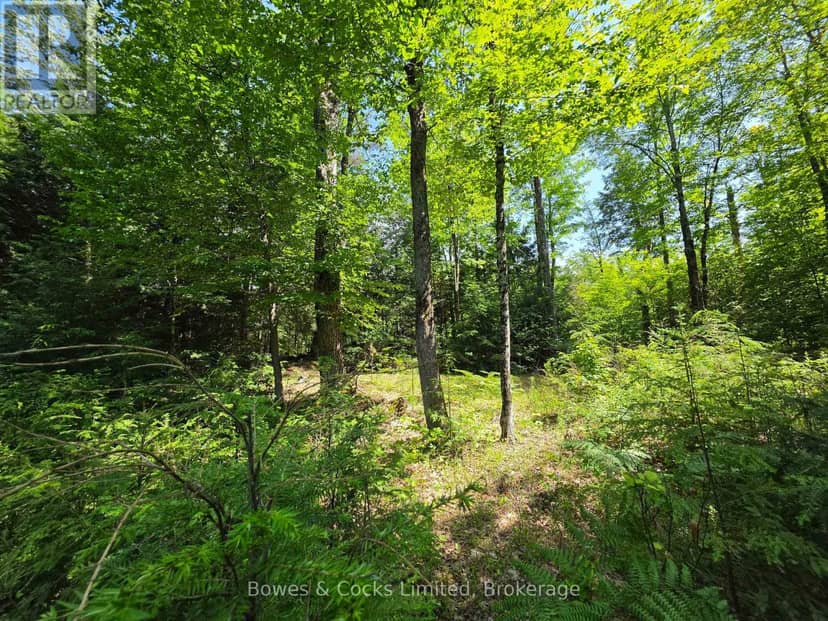 1160 Balmer Road, North Kawartha, photo 6