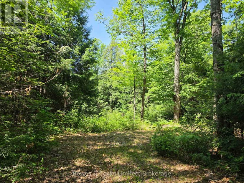 1160 Balmer Road, North Kawartha, photo 2