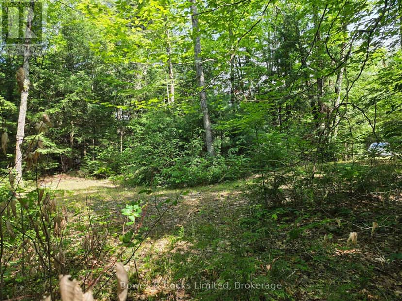 1160 Balmer Road — photo 9 of 18