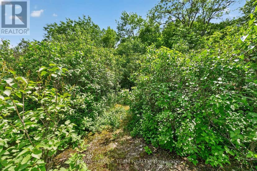 1391 Huntmar Drive — photo 13 of 18