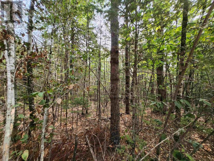 Lot 69 Turner Point Crossover, Walden, photo 5