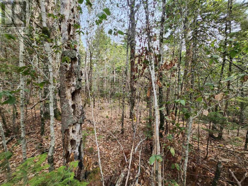 Lot 69 Turner Point Crossover, Walden, photo 4