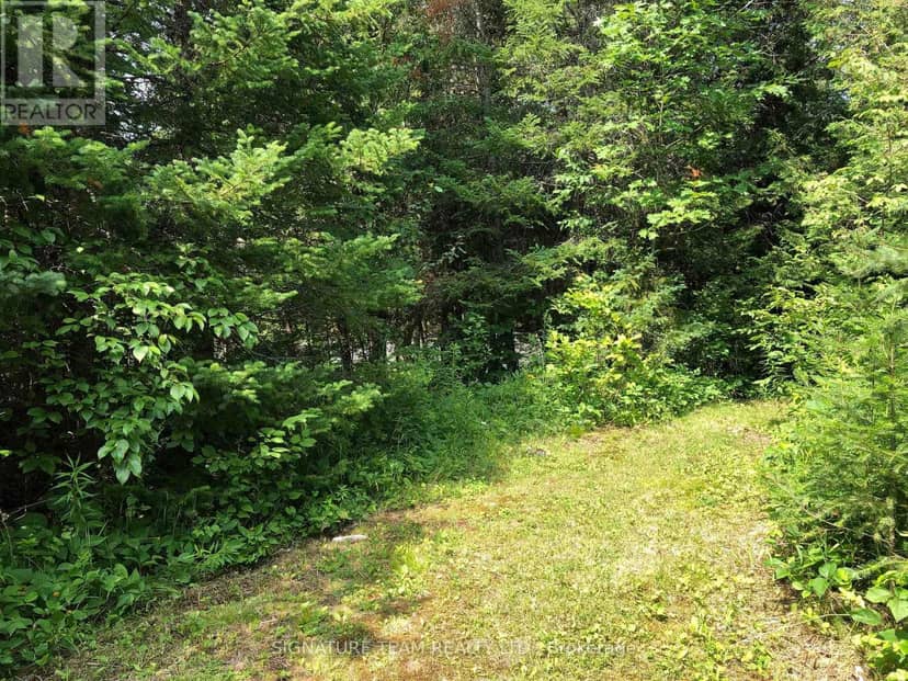 3092 Scotch Bush Road — photo 23 of 40
