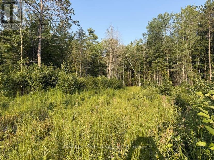 41 Mintha Street, Madawaska Valley, photo 4