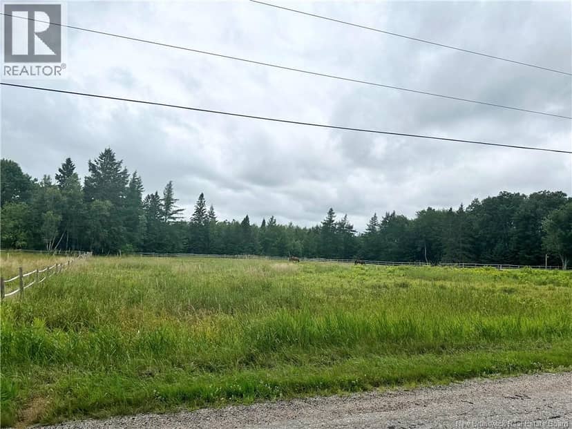 Collina Road, Studholm
