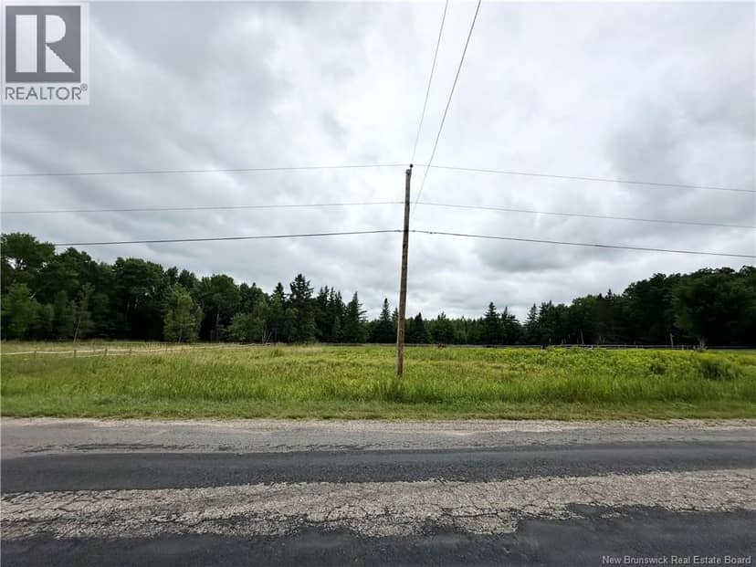 Collina Road, Studholm, photo 2