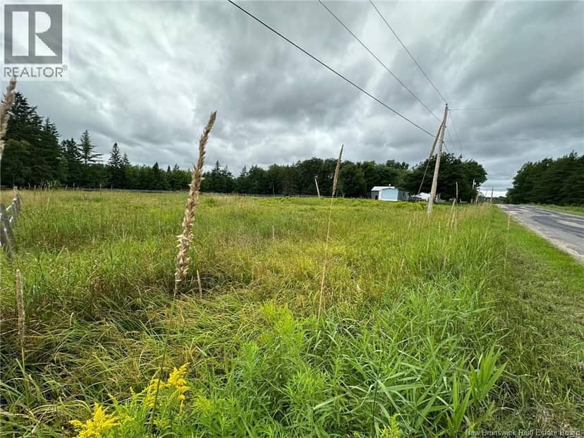 Collina Road, Studholm, photo 3