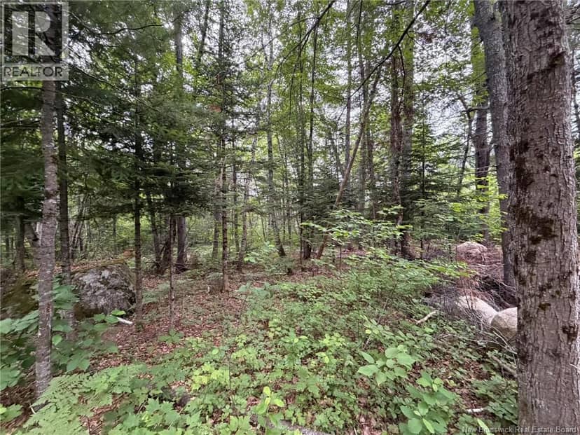 0 Tucker Lane — photo 15 of 17