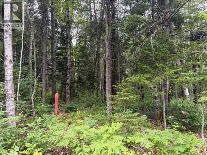 0 Tucker Lane — photo 17 of 17