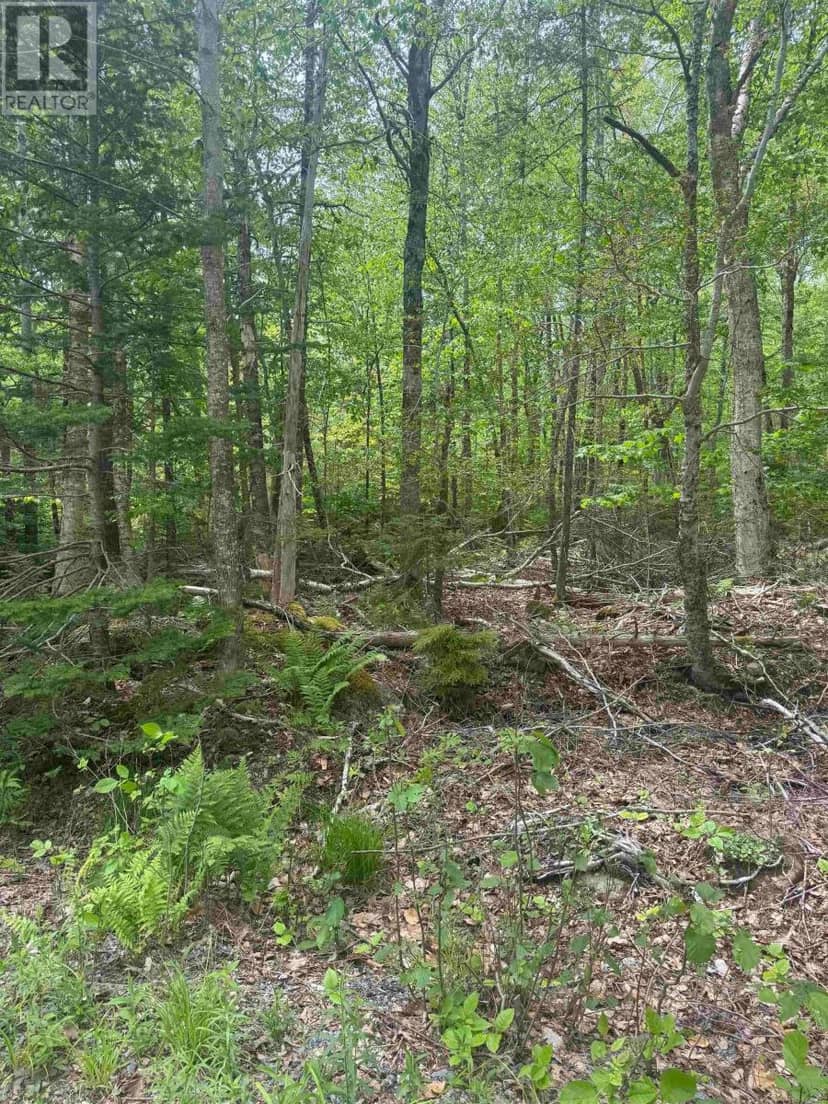 Silvers Cove Road, Union Square, photo 6