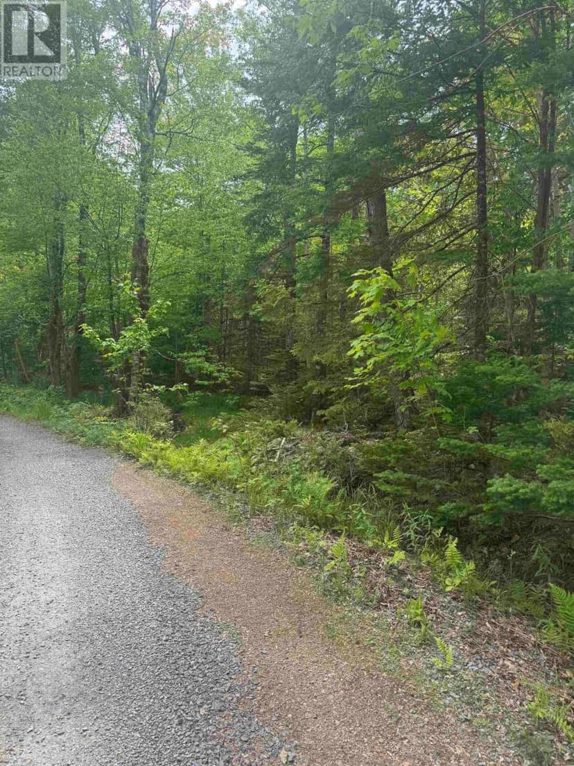 Silvers Cove Road, Union Square, photo 4
