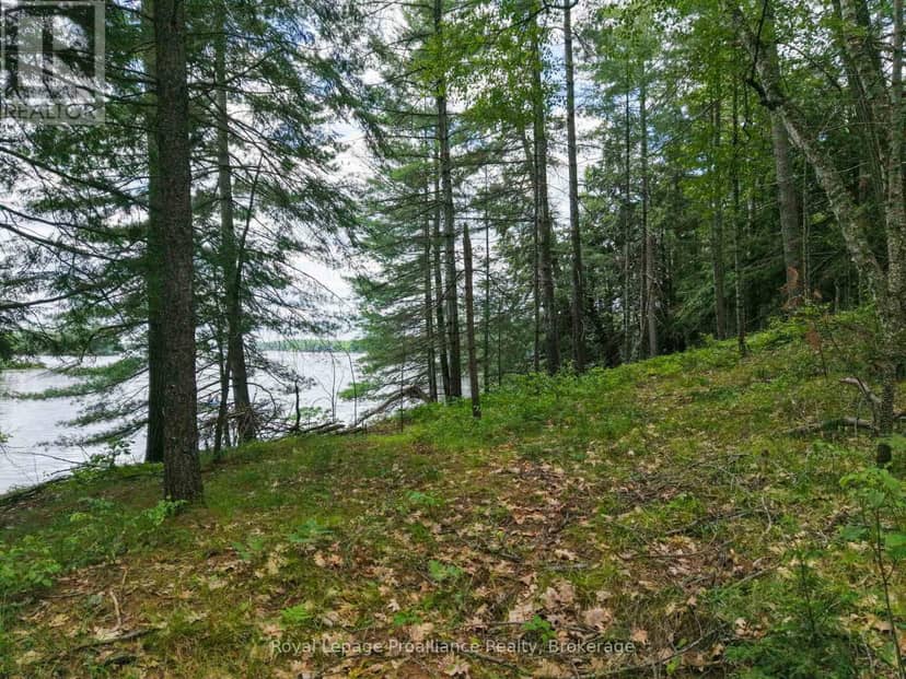 1 Wao Kasshabog Lake — photo 30 of 33