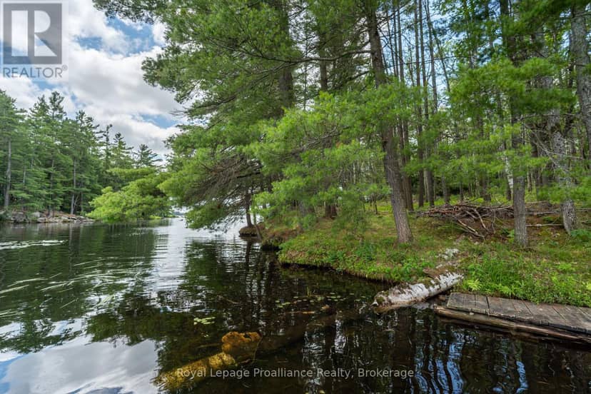 3 Wao Kasshabog Lake, Havelock-Belmont-Methuen, photo 7