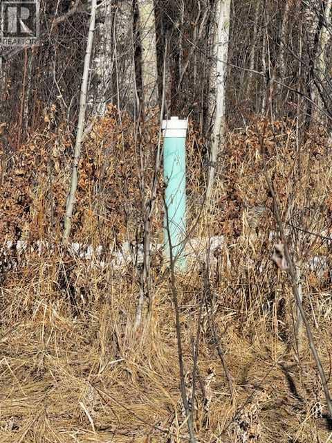 2431 Mistassiniy Road, Wabasca, photo 8