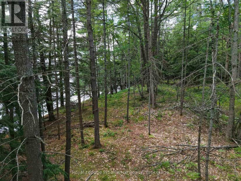 2 Wao Kasshabog Lake — photo 27 of 33