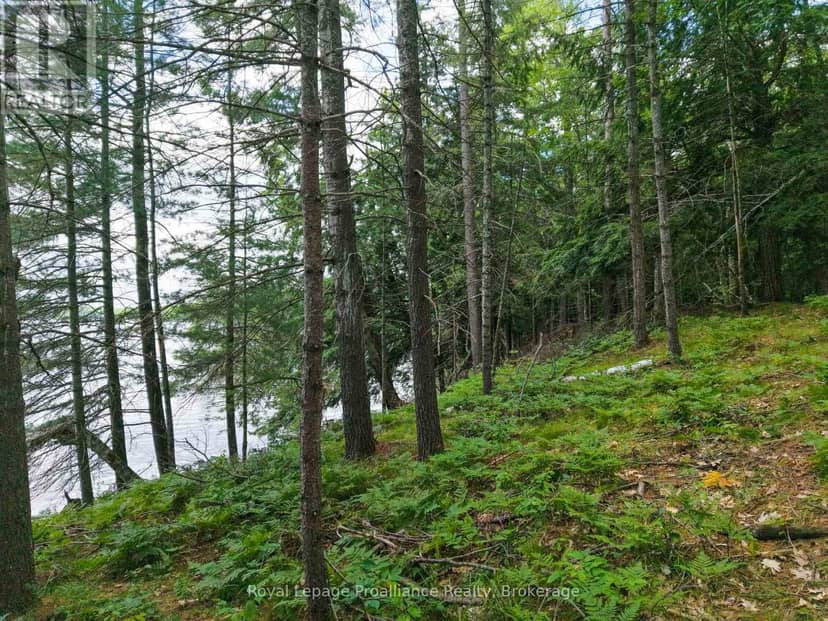 2 Wao Kasshabog Lake — photo 32 of 33