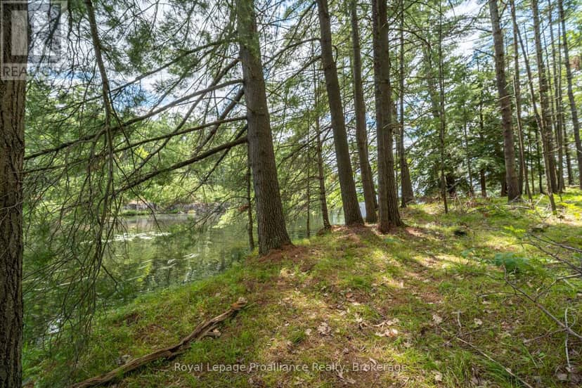 2 Wao Kasshabog Lake, Havelock-Belmont-Methuen, photo 4