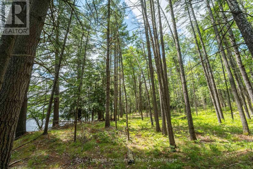2 Wao Kasshabog Lake, Havelock-Belmont-Methuen, photo 5