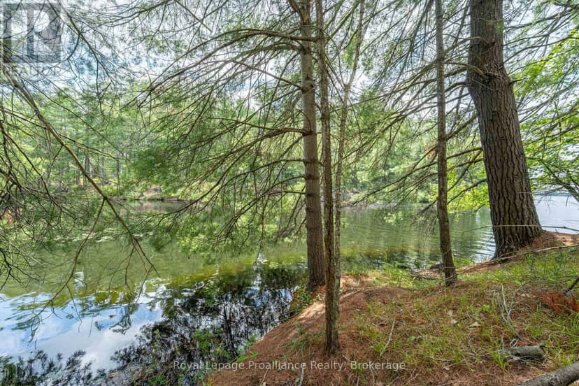 2 Wao Kasshabog Lake, Havelock-Belmont-Methuen, photo 6