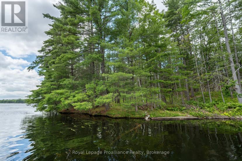 2 Wao Kasshabog Lake, Havelock-Belmont-Methuen, photo 8