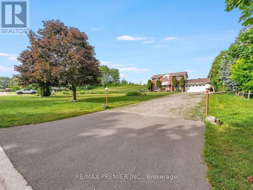 28 Emeline Street — photo 2 of 40