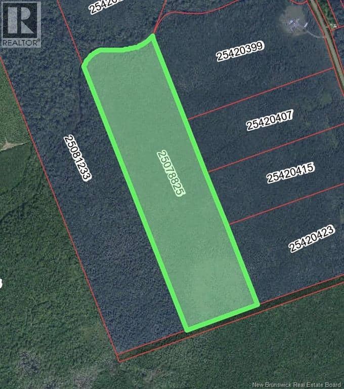 Lot Emerson (BACK) Road, Beersville, photo 2