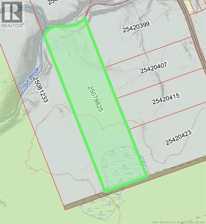 Lot Emerson (BACK) Road, Beersville, photo 3