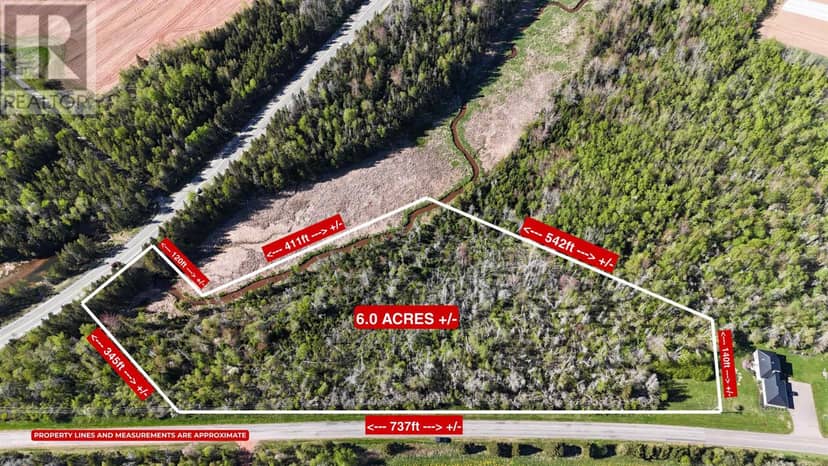 5 Acres Newtown Road — photo 20 of 27
