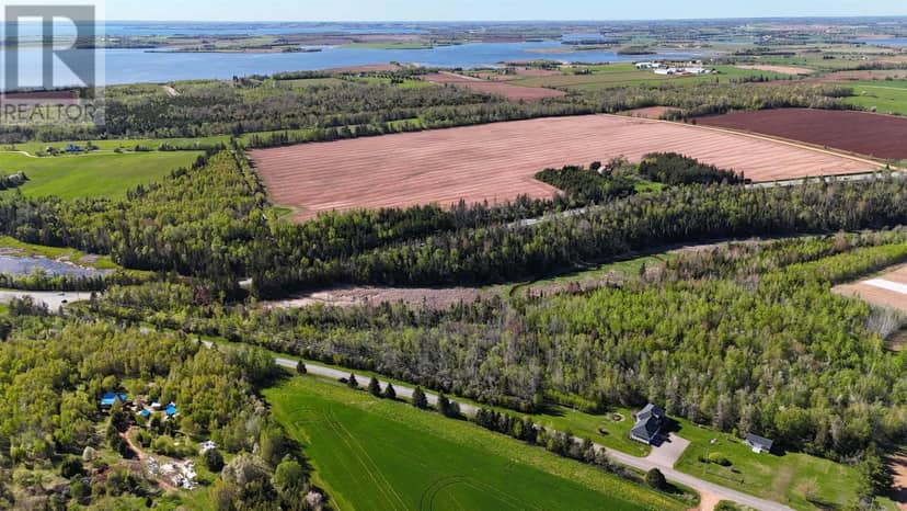 5 Acres Newtown Road — photo 19 of 27