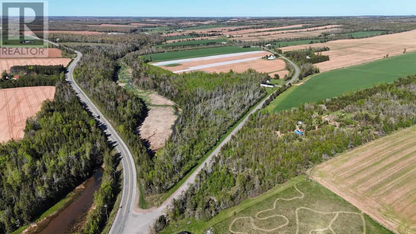 5 Acres Newtown Road — photo 16 of 27